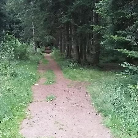 Belle Vue Lejlighed Gelles Eksteriør billede